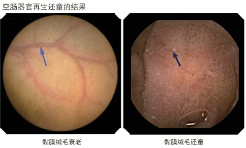 拉霸LaBa360(中国区)官方网站