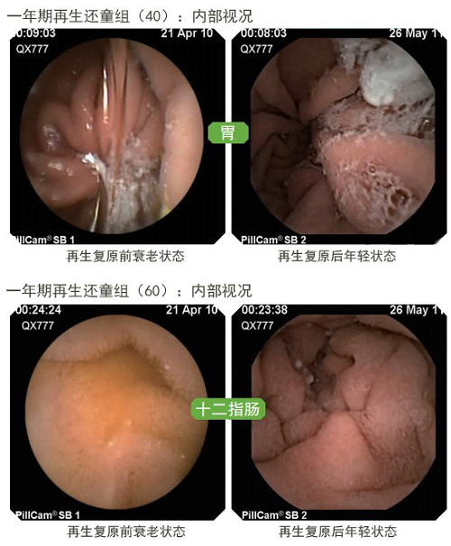 拉霸LaBa360(中国区)官方网站