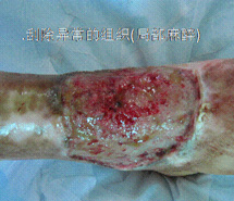 拉霸LaBa360(中国区)官方网站