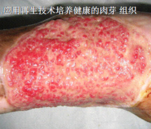 拉霸LaBa360(中国区)官方网站