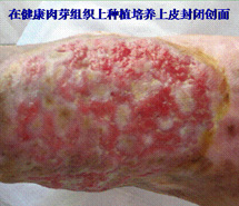 拉霸LaBa360(中国区)官方网站
