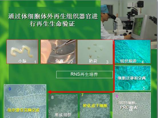 拉霸LaBa360(中国区)官方网站