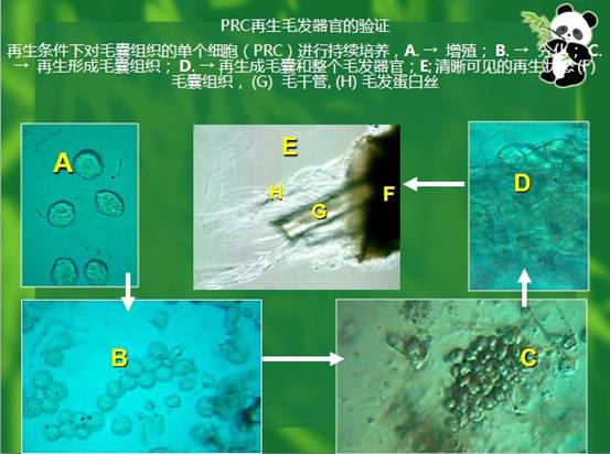 拉霸LaBa360(中国区)官方网站