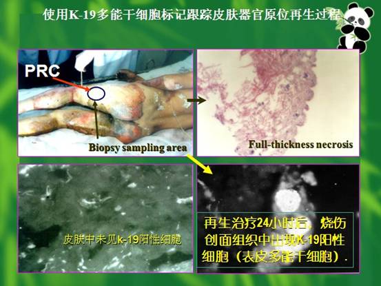 拉霸LaBa360(中国区)官方网站