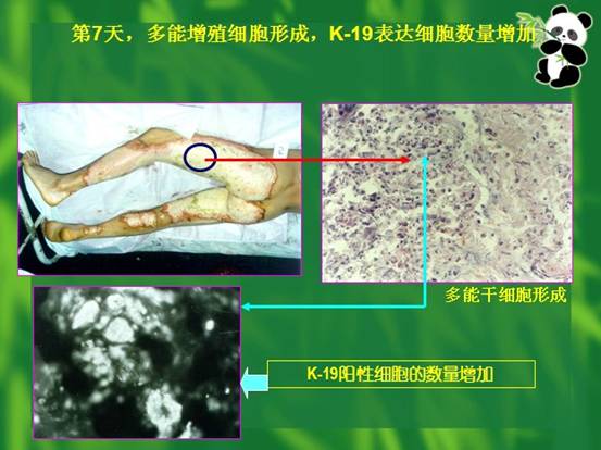 拉霸LaBa360(中国区)官方网站