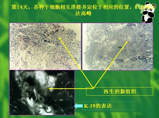 拉霸LaBa360(中国区)官方网站