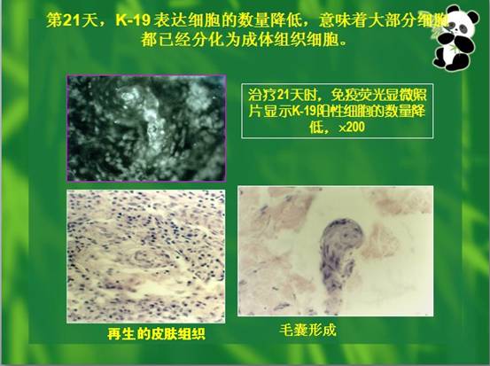拉霸LaBa360(中国区)官方网站