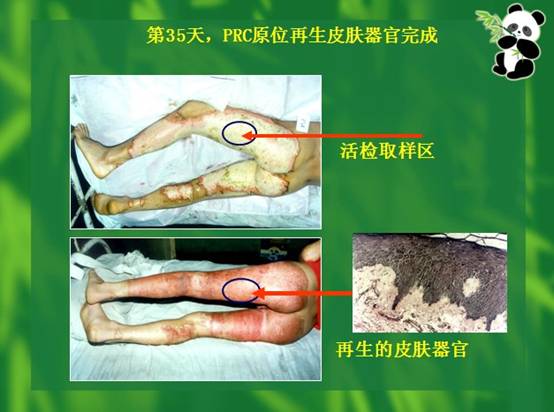拉霸LaBa360(中国区)官方网站