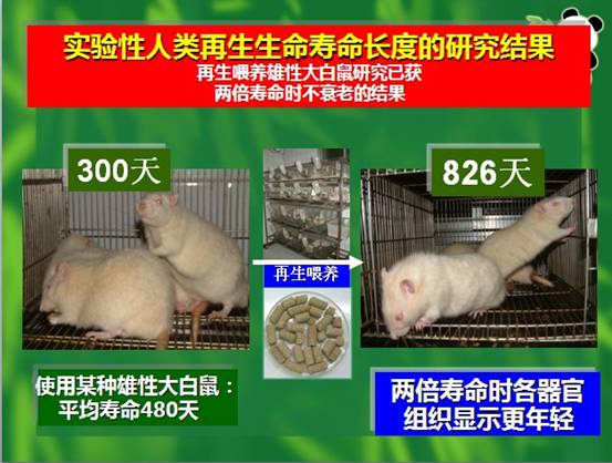 拉霸LaBa360(中国区)官方网站