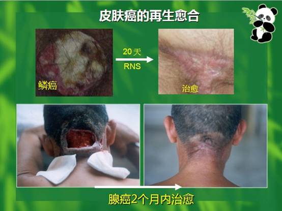 拉霸LaBa360(中国区)官方网站