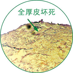 拉霸LaBa360(中国区)官方网站