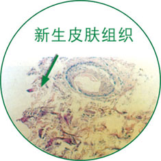 拉霸LaBa360(中国区)官方网站