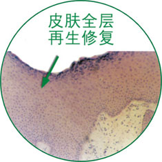 拉霸LaBa360(中国区)官方网站