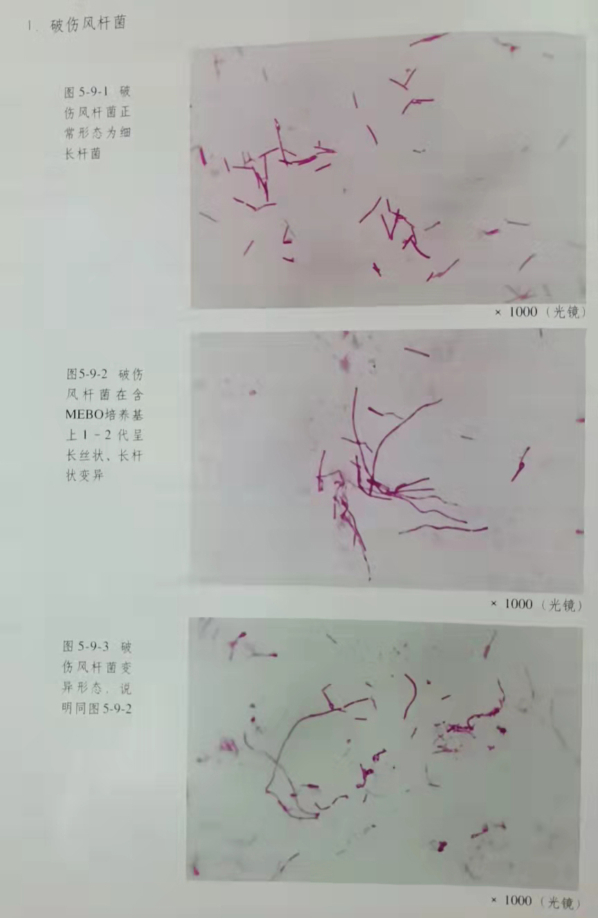 拉霸LaBa360(中国区)官方网站