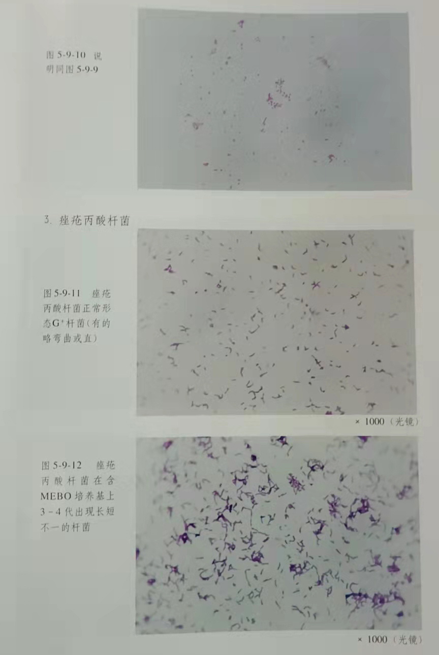 拉霸LaBa360(中国区)官方网站