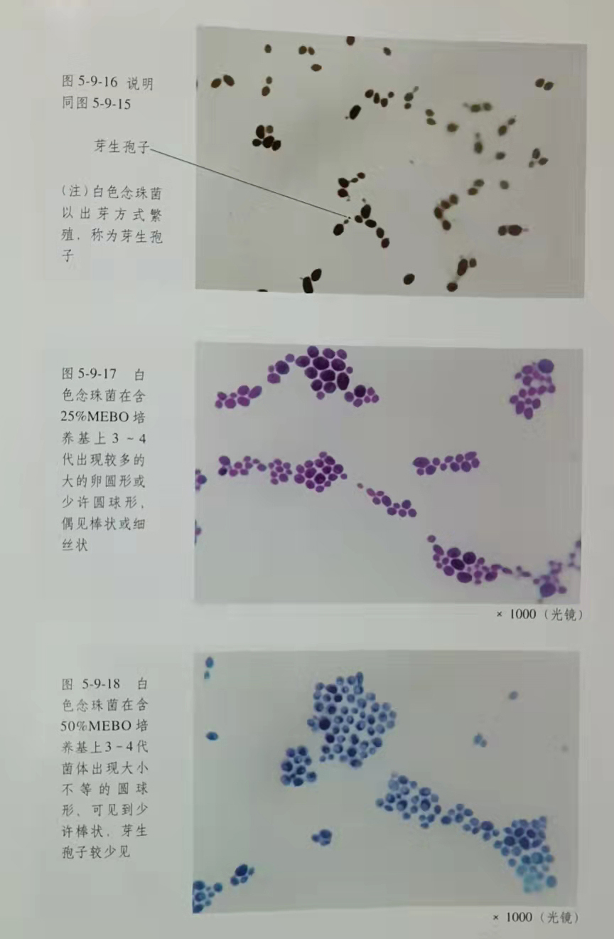 拉霸LaBa360(中国区)官方网站