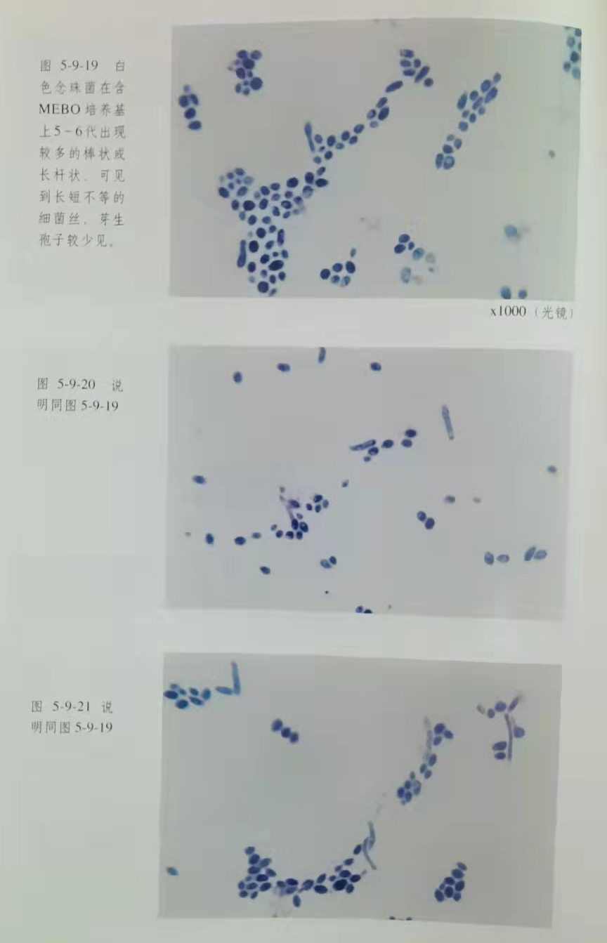 拉霸LaBa360(中国区)官方网站