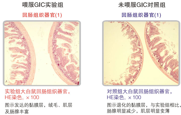 201122014542912