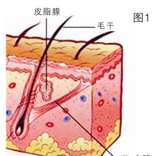 201122016955482